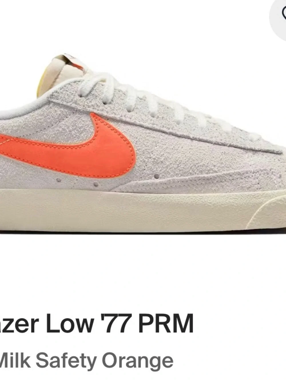 Nike blazer low